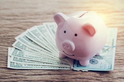 Decorative: Piggy Bank With Dollar Bills Under It